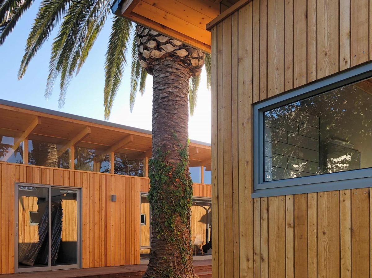 Palm And Pine Cottage 开普敦 外观 照片